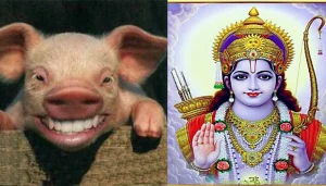 Ram-sambhuk-pig
